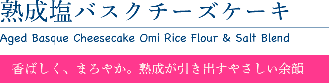 熟成塩バスクチーズケーキ